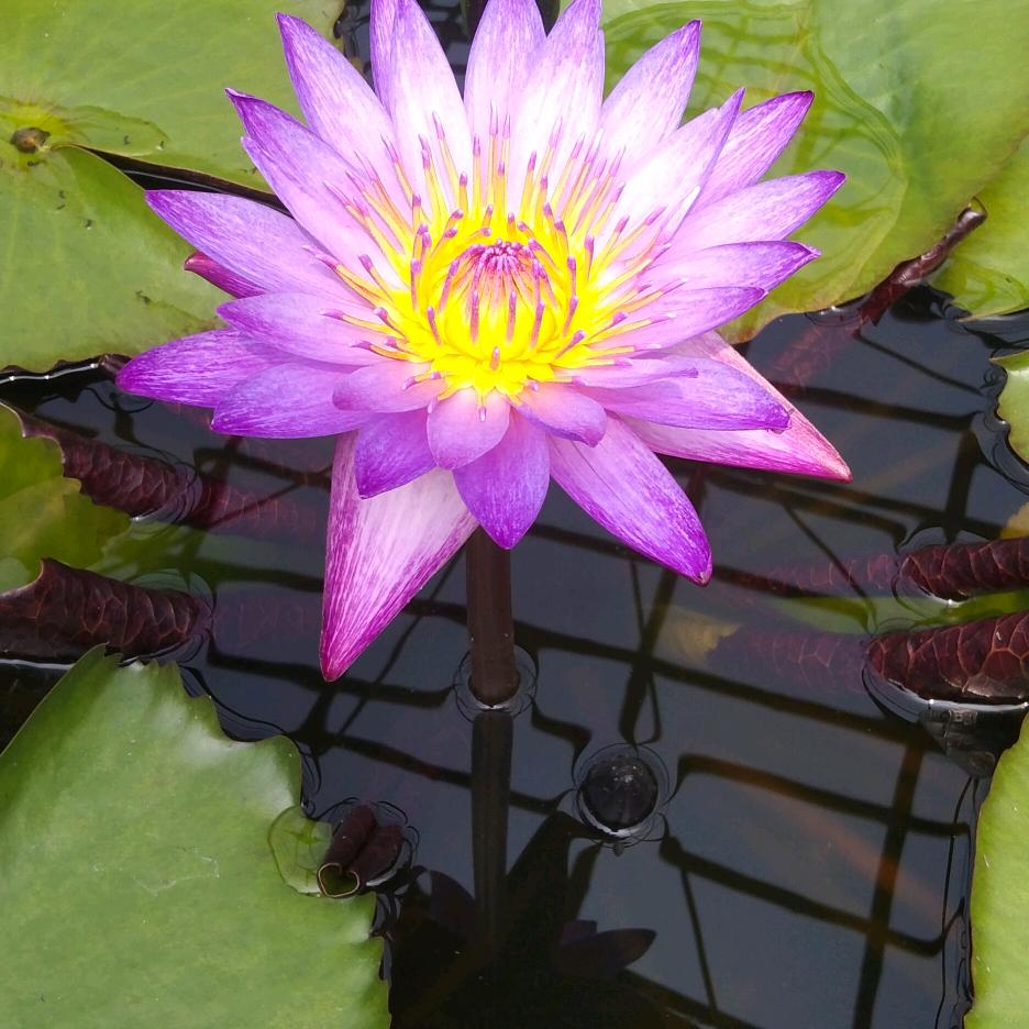 向钱看，一切都会有的