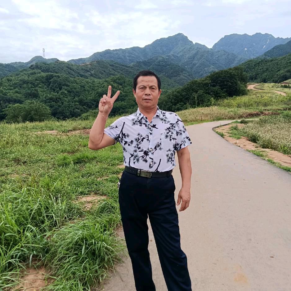 双燕双飞