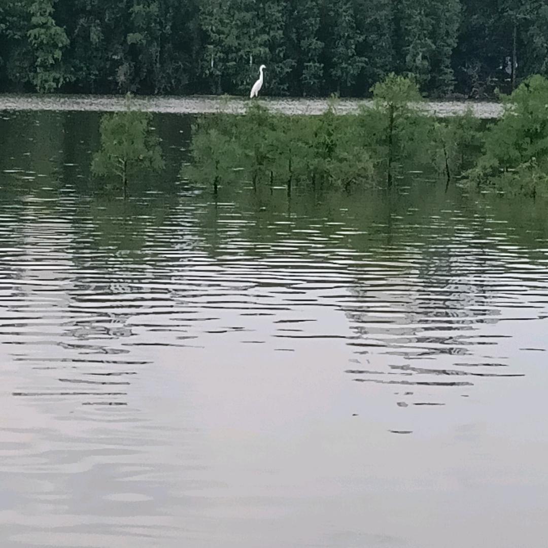 正儿八斤，难再续