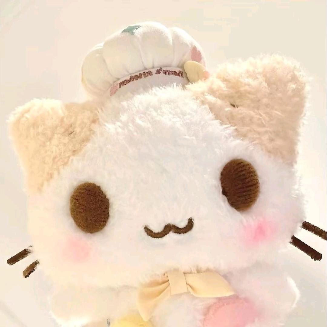 小猫体质