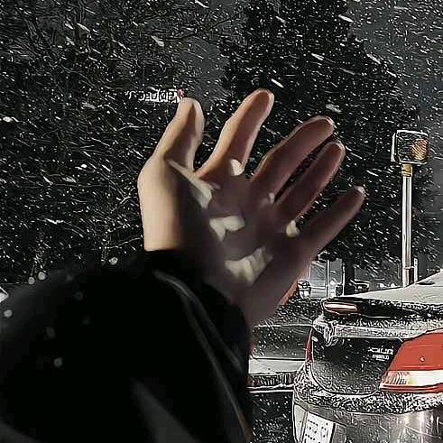 爱意.💕随风起