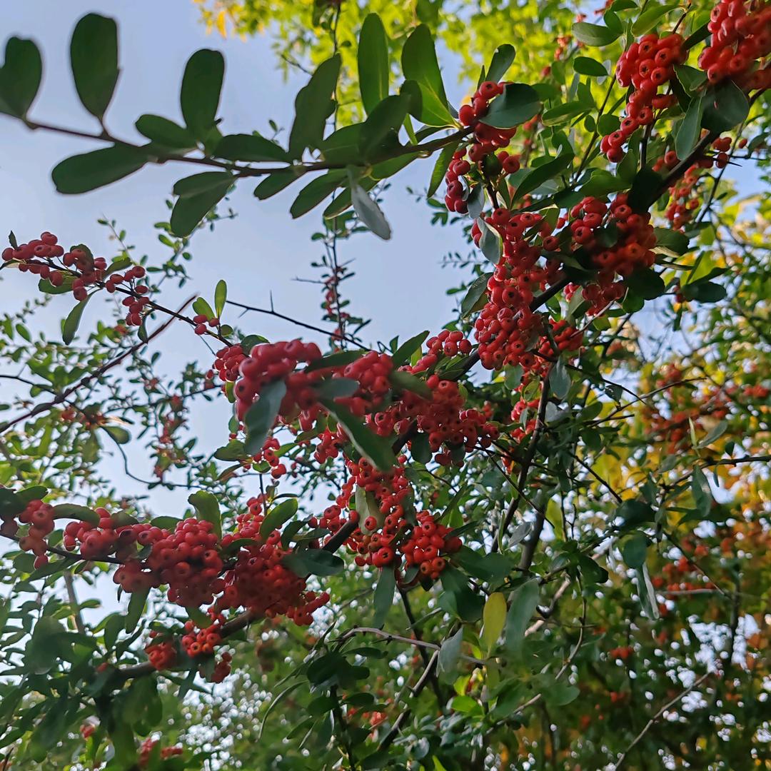 益嘉&优选¹⁸¹⁸