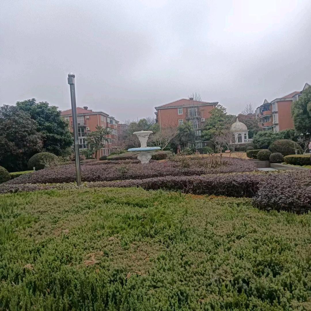 李纷