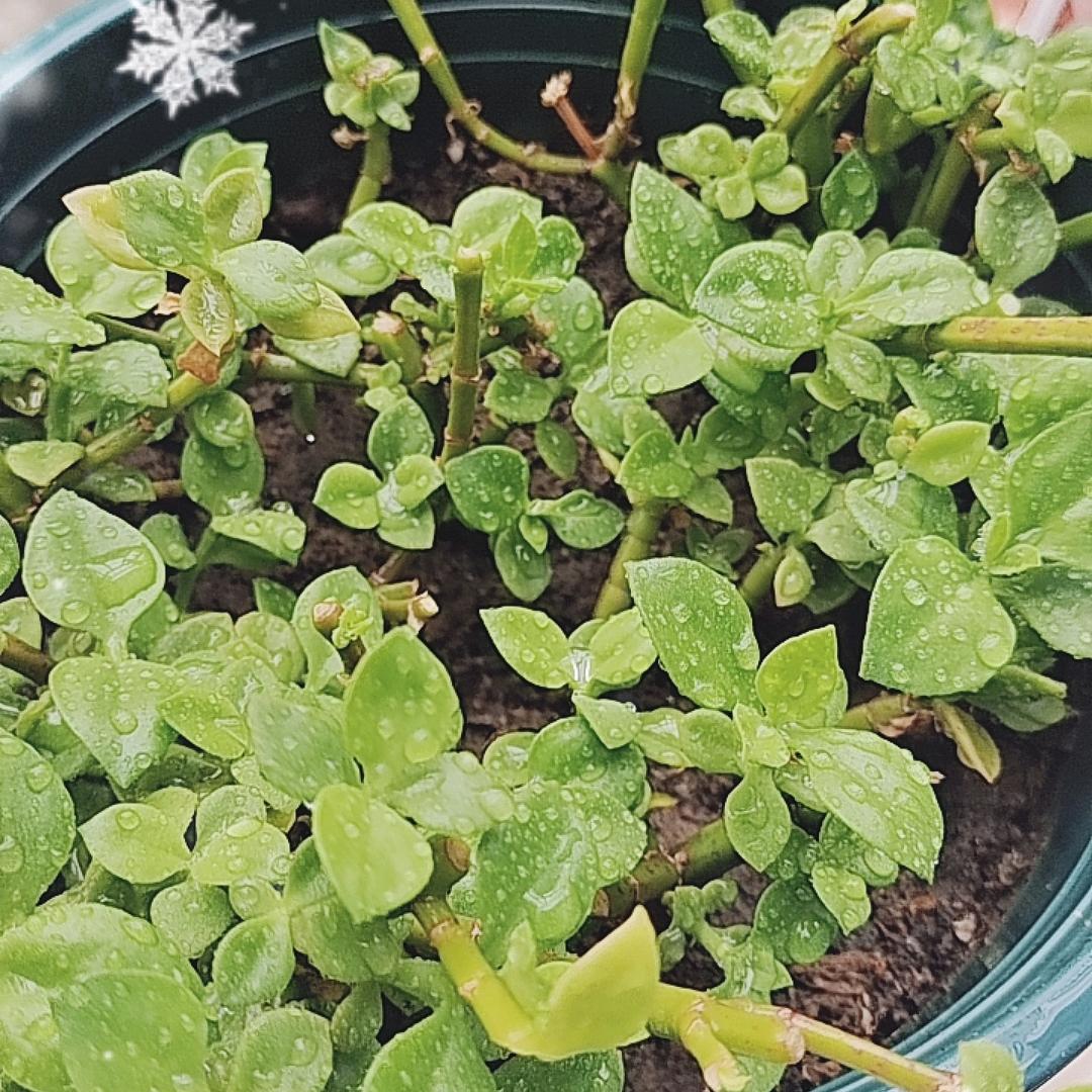 好好好