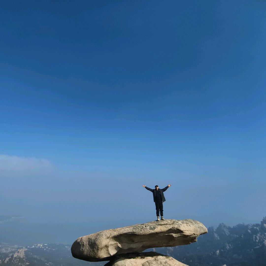 由理