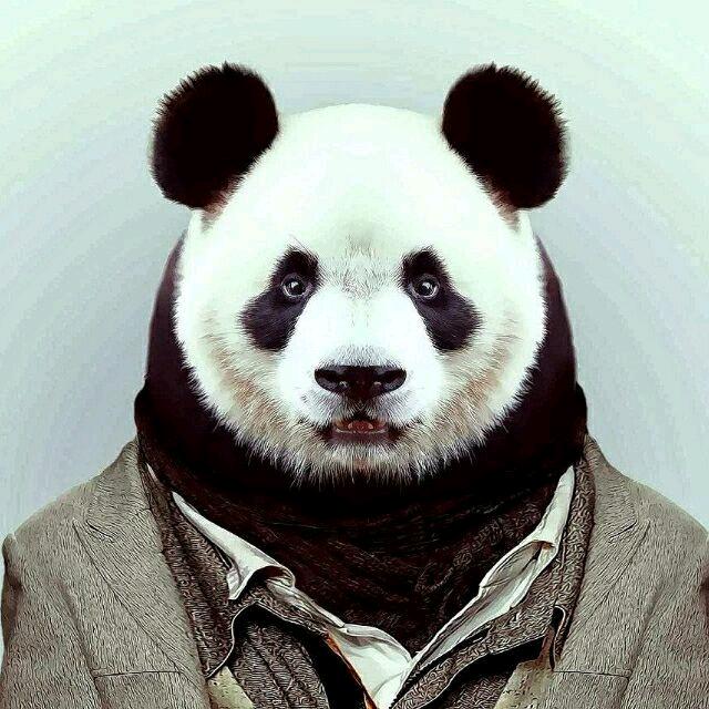 XH我