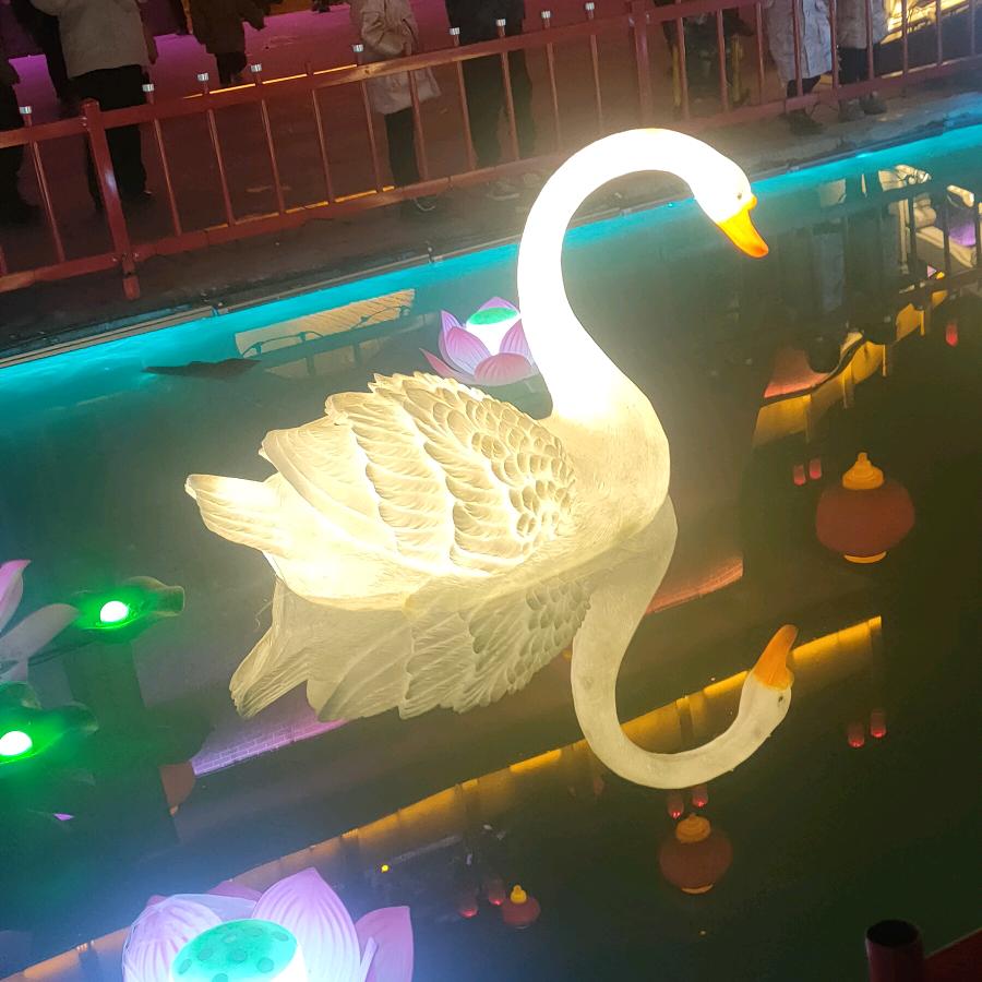 虎家人01