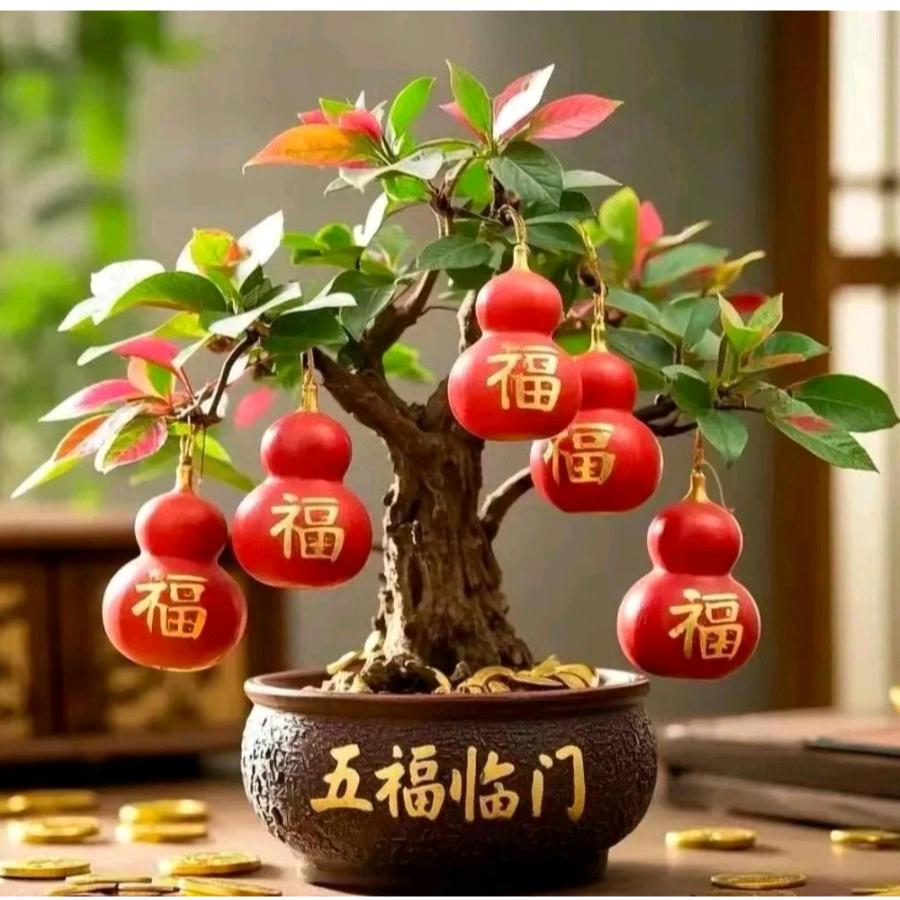 盈莹爱国学