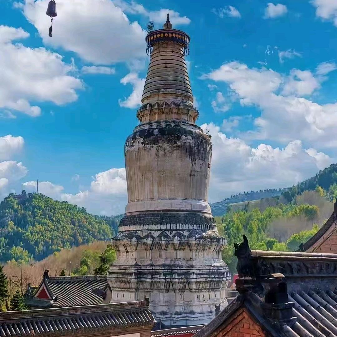 摆渡者👣