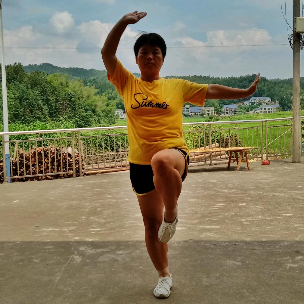 飞铧武术散打搏击