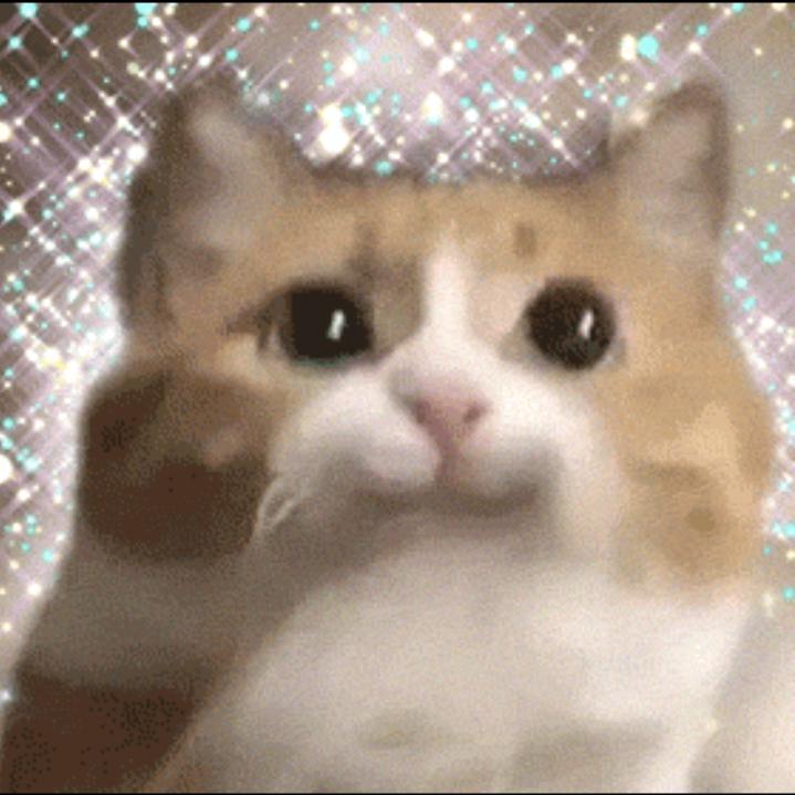 情绪稳定主义者