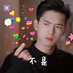 昭通苹果 小赵