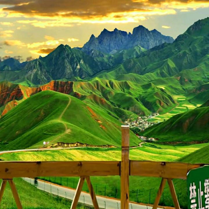 武