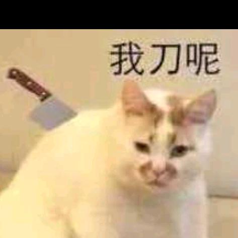 知一