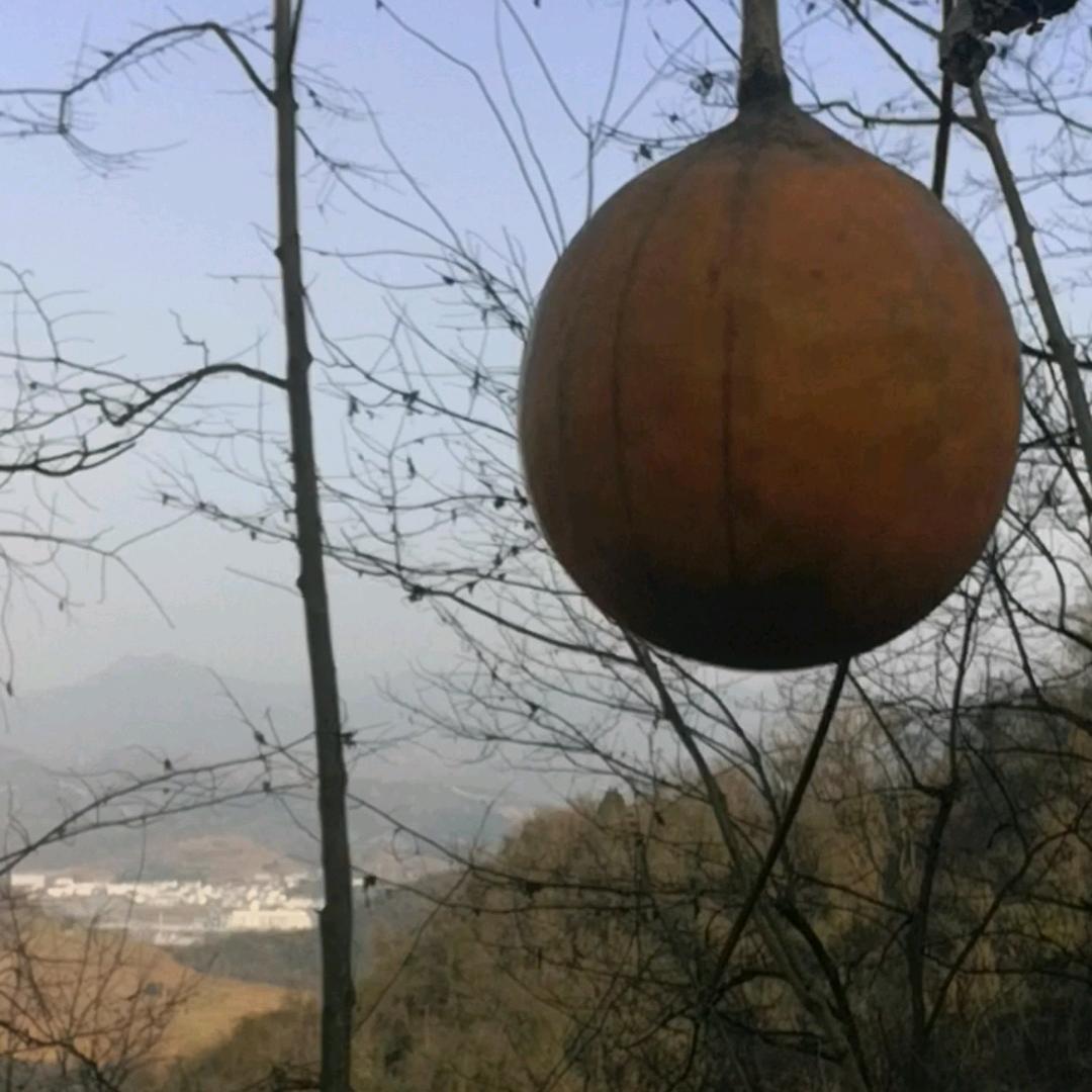 巩桥
