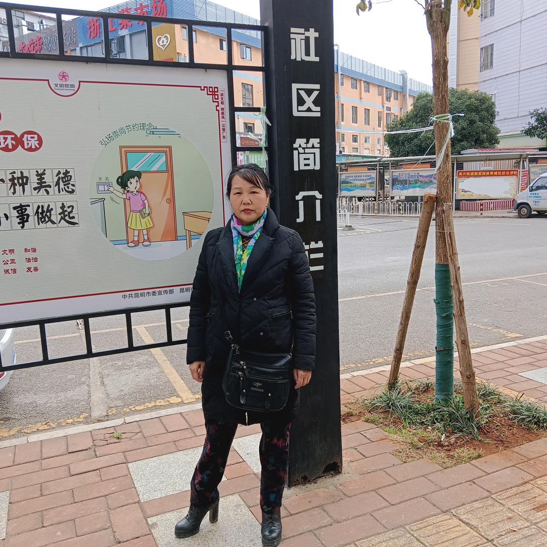 小杨