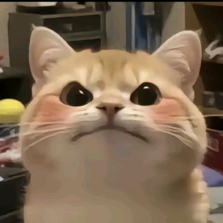 听曼波说