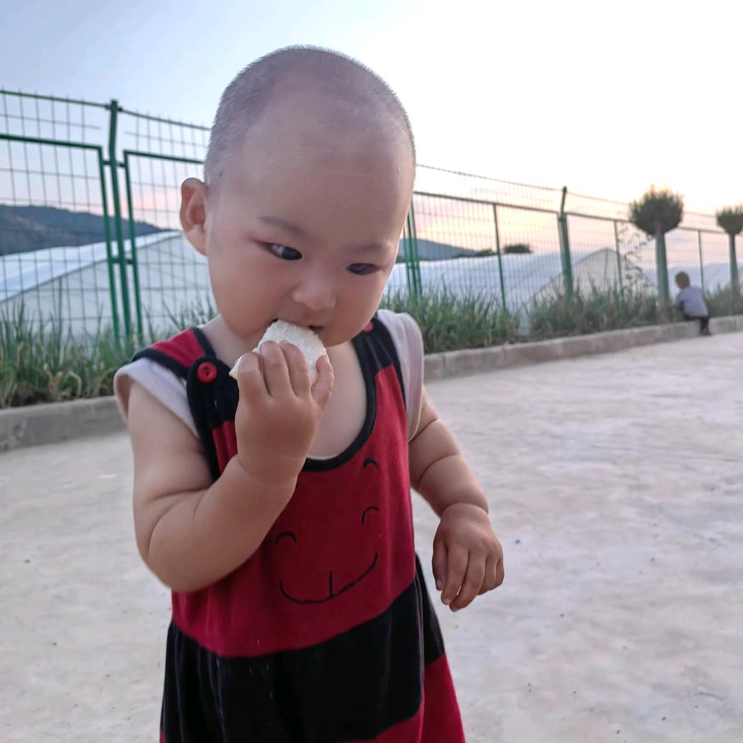 柚子早教益智动画