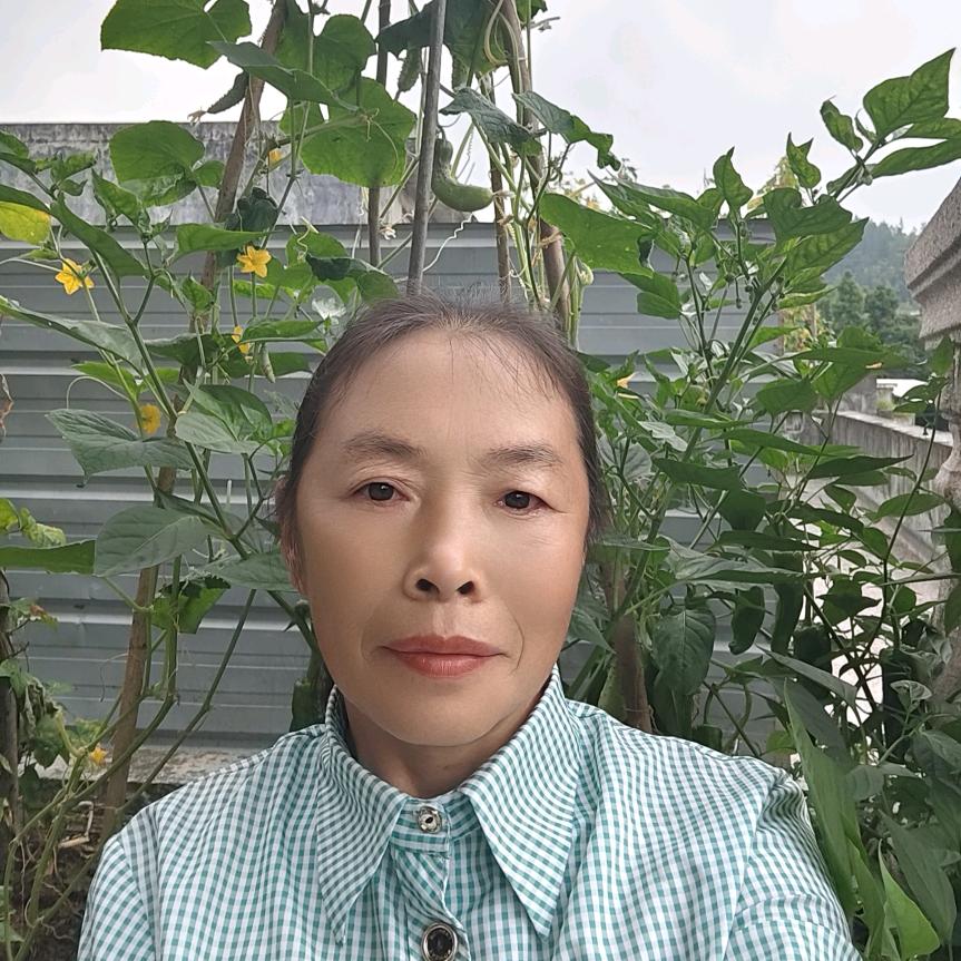 冯雨姐经验分享中午11:10开播