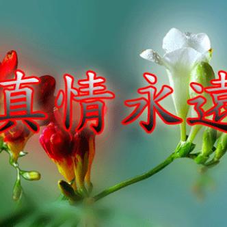 缘来缘去