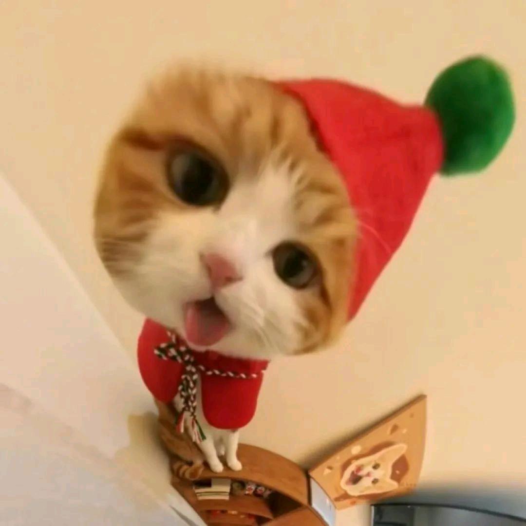 小羊肖恩