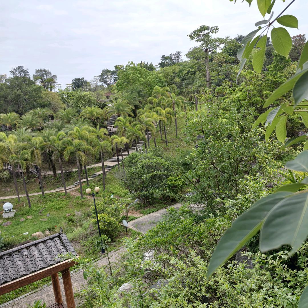 以后