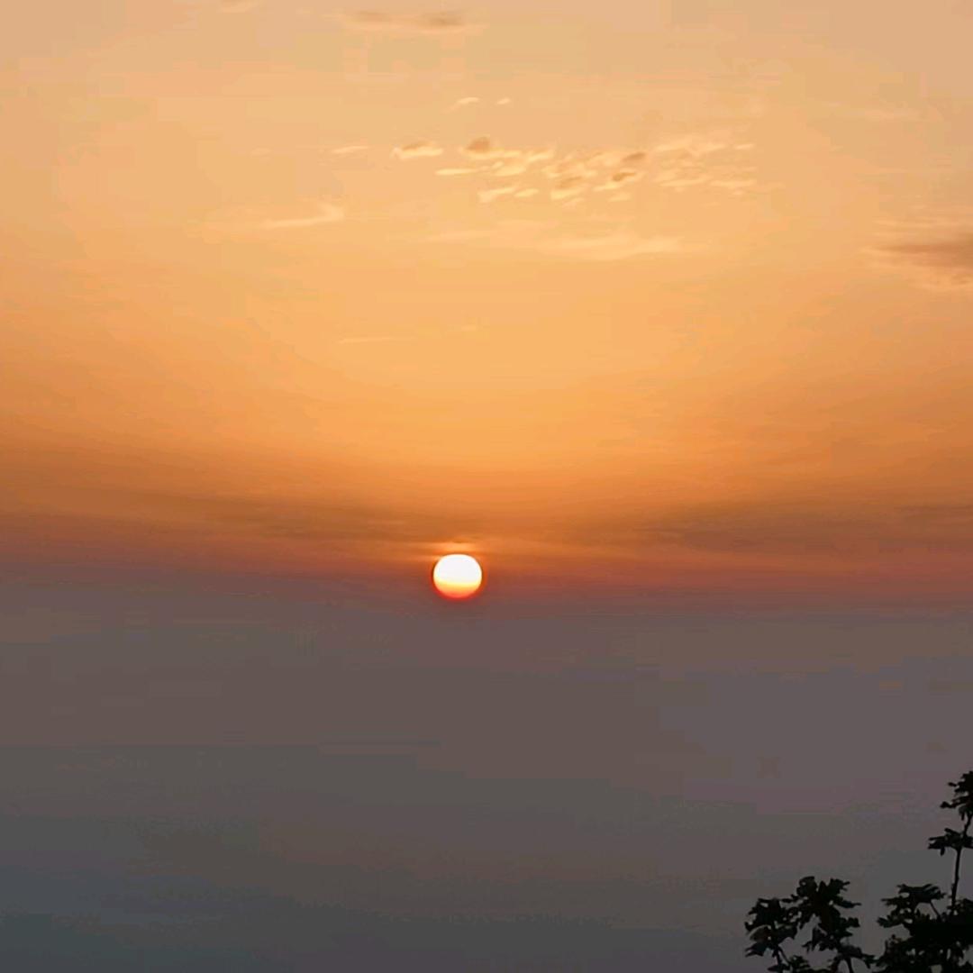 向阳用户4926216674562
