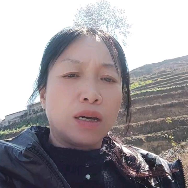 张姐.