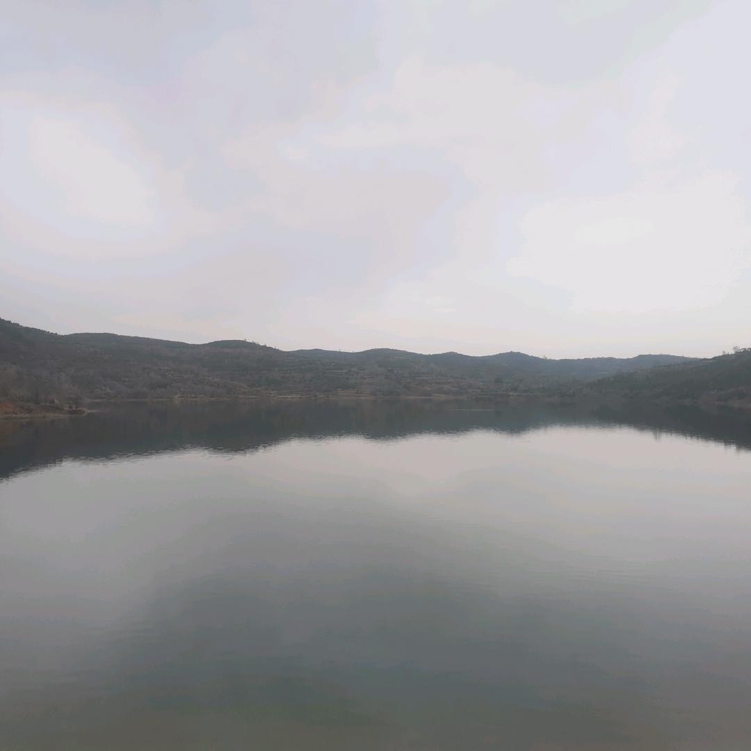 Zrl