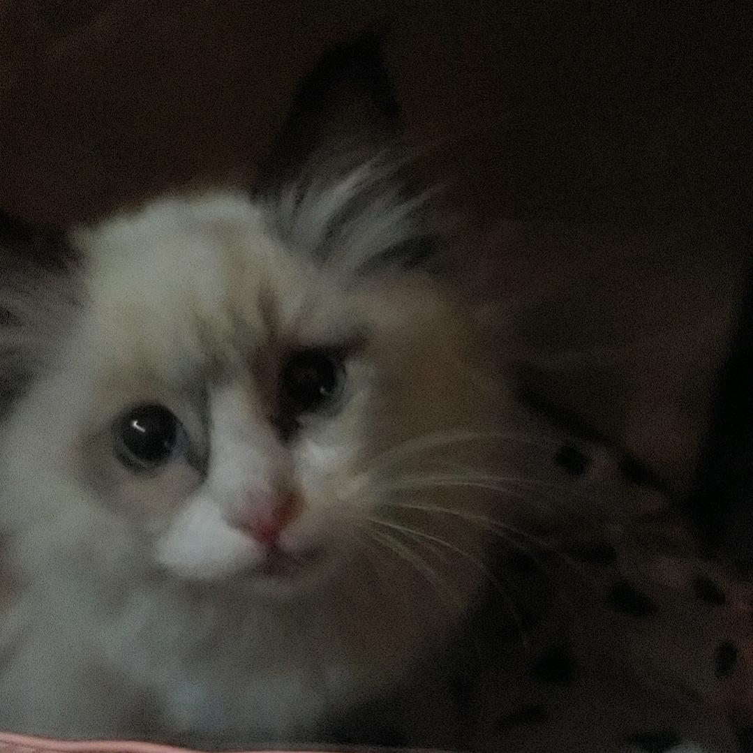 汐
