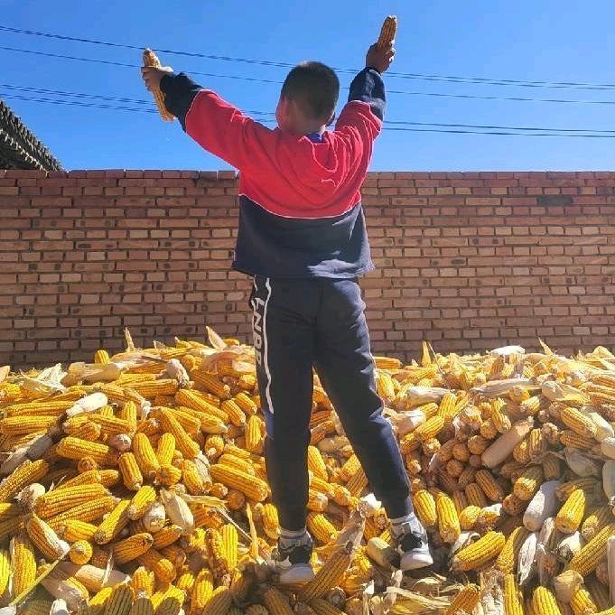 旗旗的电子相册