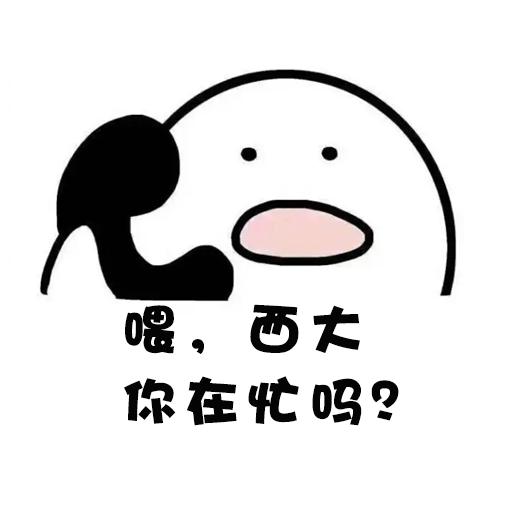 西大不大