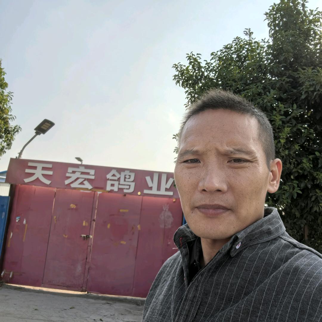 天宏鸽业