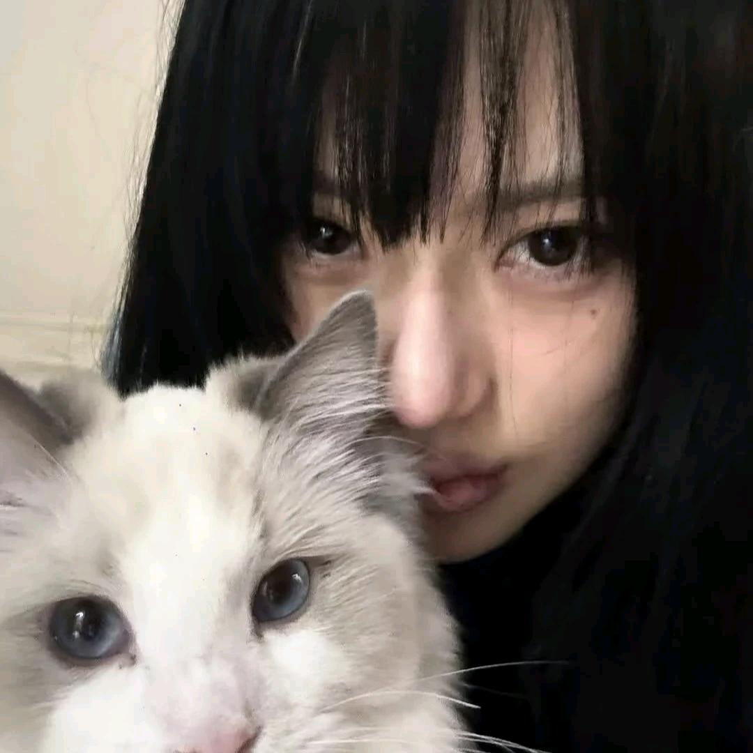 去码头偷吃西红柿的番茄炒鸡蛋