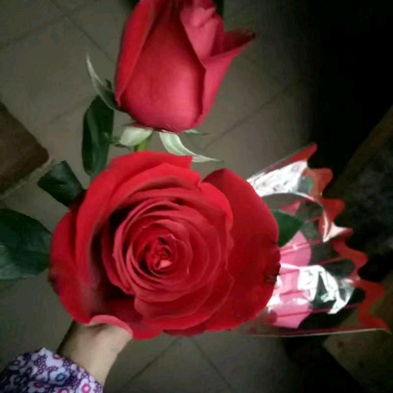 ❤️美好时光❤️