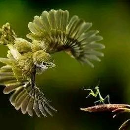 哈哈哈哈好好好好