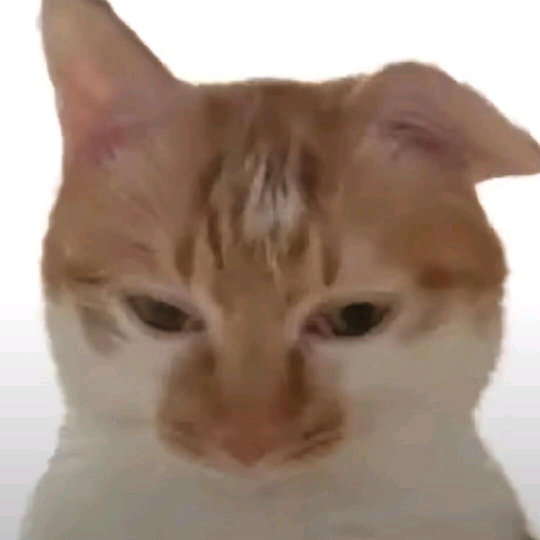 ⁺✞ʚ窗户ɞ✟₊