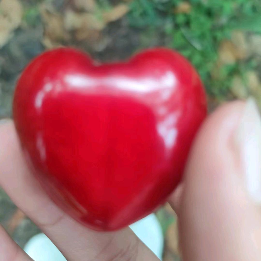 💰多多 ♡♥(。´▽`。)♥♡