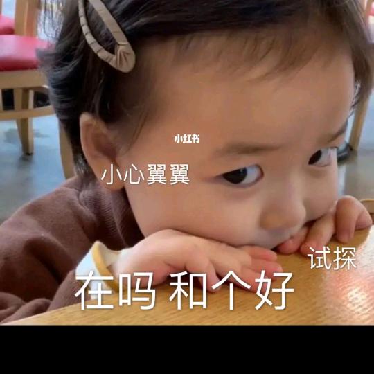 赵憨憨