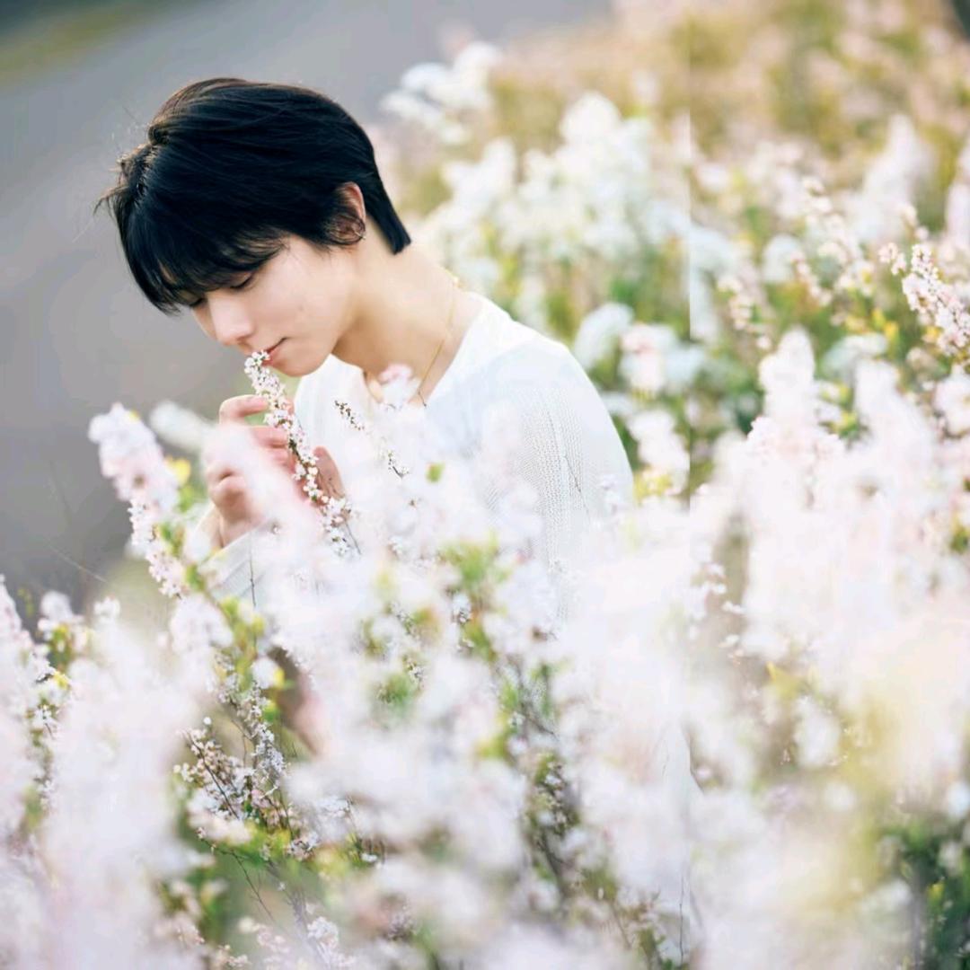 羽翼1207（摆烂版）