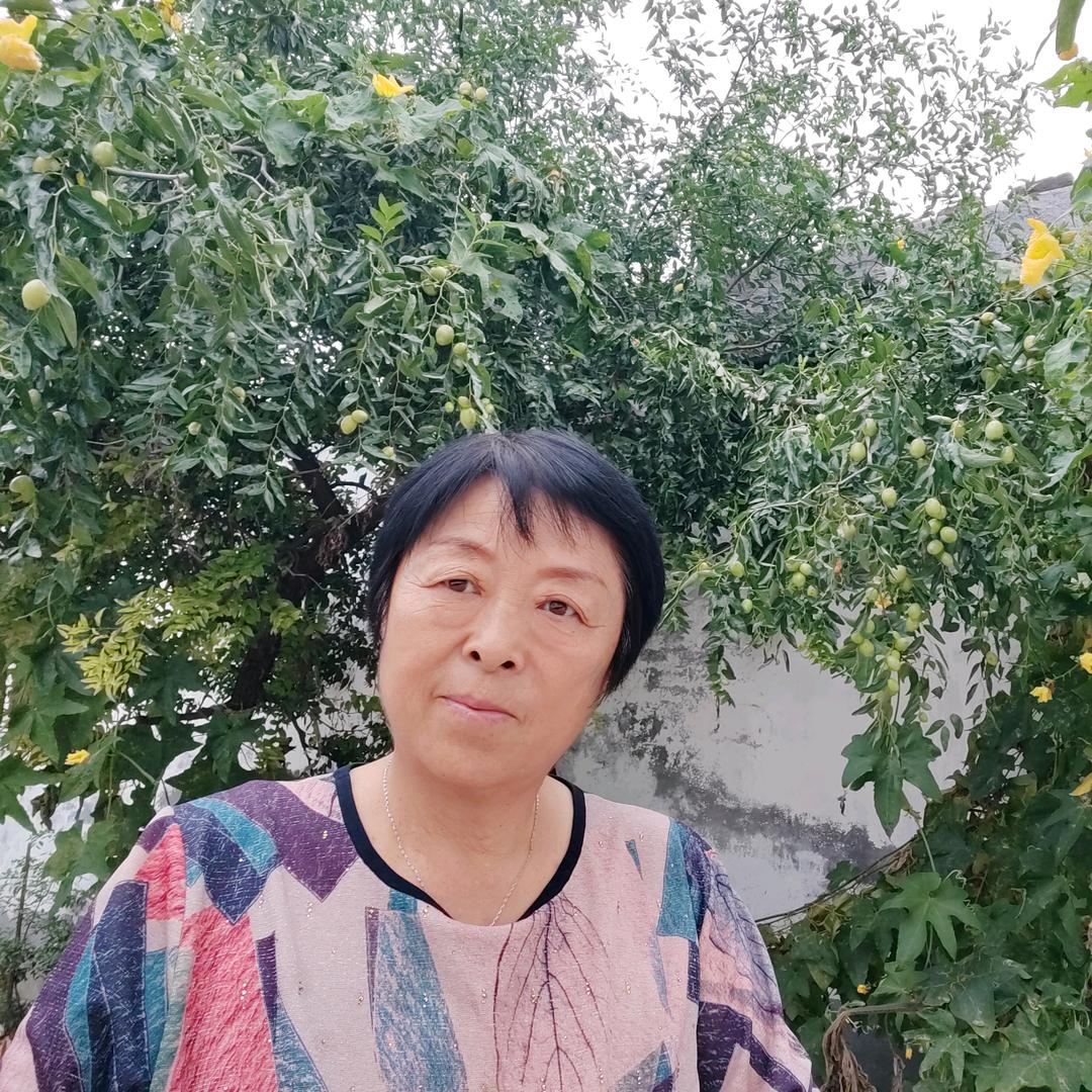 鸿运姐