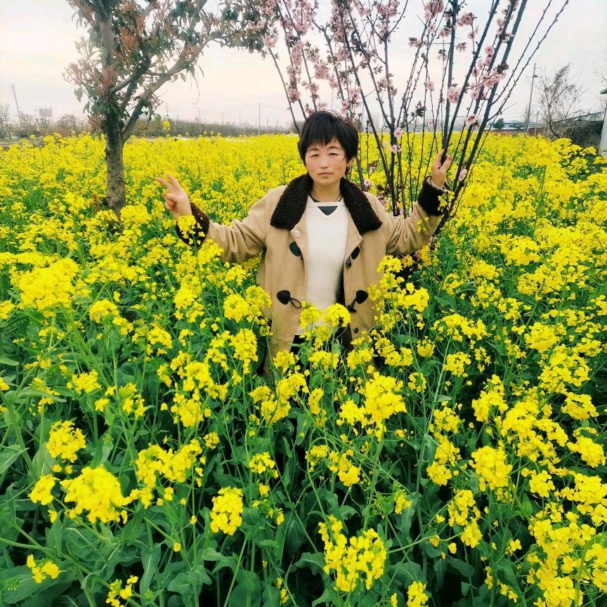 郸城杨霞