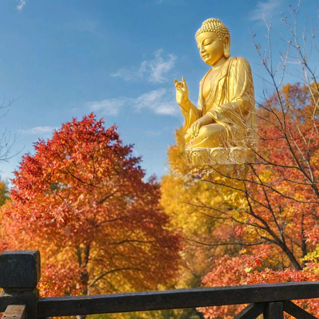💎顺风车油车：接全国、包车💎徐州地接