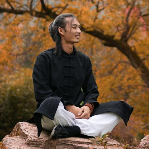 武当王平安