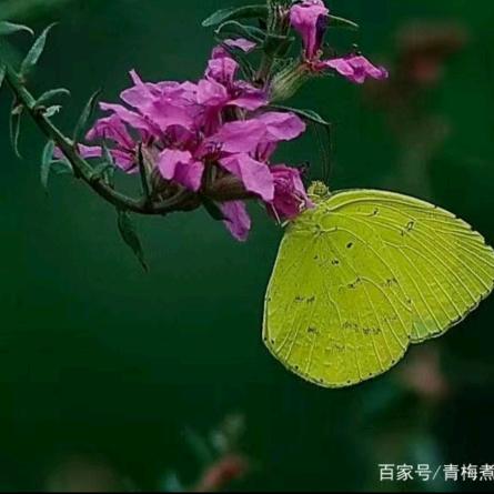 超越未来