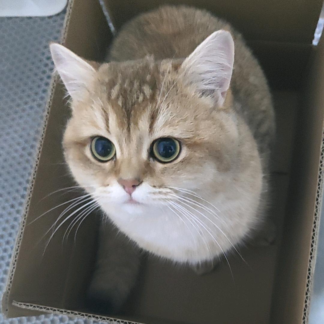 凌晨四点半