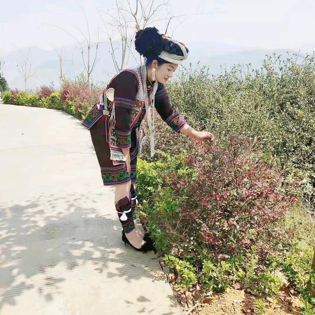 带刺的玫瑰🌹