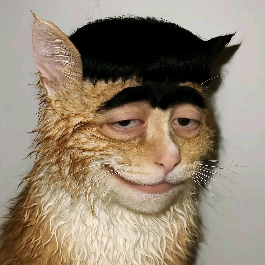 QAQ