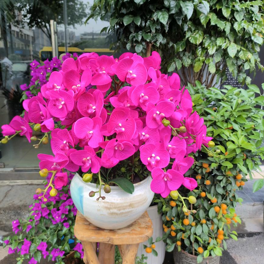 农村快乐的一家人蔡