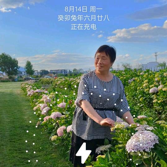 雅雅